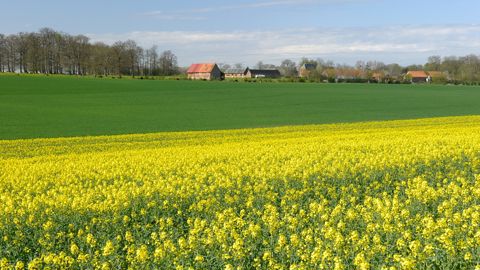 Contrairement à nos voisins européens, ces dix dernières années le revenu agricole moyen a stagné en France.