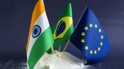 L'Inde et le Brésil font figure de concurrents féroce face au sucre européen.