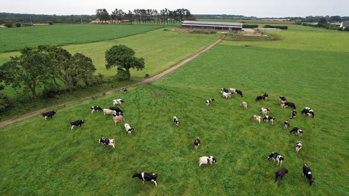 En système lait, l’alimentation, la mécanisation et la reproduction sont les postes principaux à suivre.