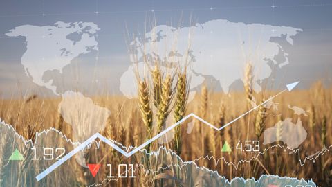 Peu avant 14h ce vendredi 27 février, le blé Euronext à échéance mai 2026 s'appréciait de 3 €/t, à 200,75 €/t