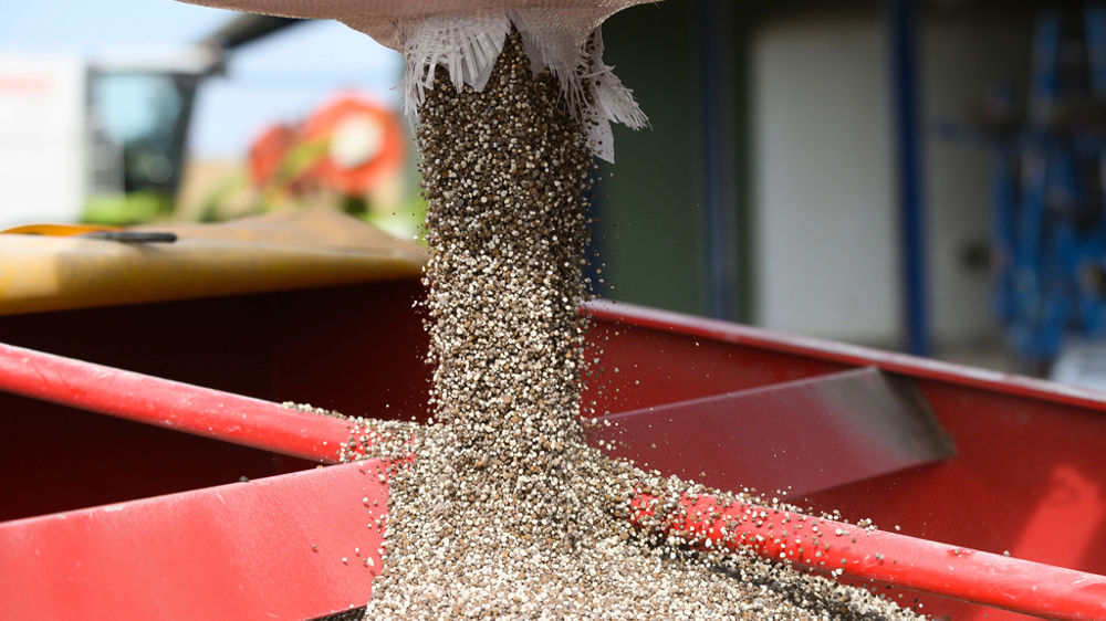Chez Unéal, 40 % des semences vendues en colza sont des nouveautés.