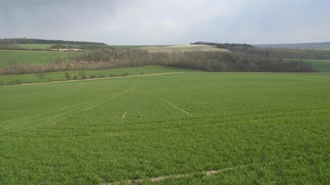 Selon la Commission européenne, à fin février, l'endurcissement des cultures d'hiver européennes était globalement supérieur à la moyenne.