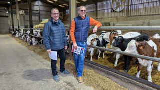 Dominique et Laurent étalent la transition vers le maïs ensilage sur deux mois dans un bâtiment spécifique.