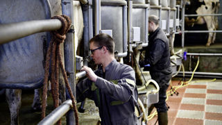 L’enquête « Besoin en main-d’œuvre en 2025 » conduite par France Travail avait estimé à plus de 200 000 prévisions d’embauche en 2025, avec un manque criant en élevage.