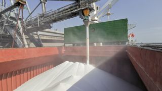 30 à 40 % des flux mondiaux d'engrais azotés transitent par le détroit d'Ormuz, actuellement paralysé.