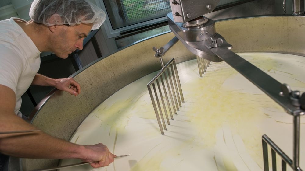 Fabrication de fromages