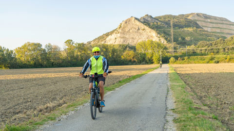 Au départ de Villeneuve- lez-Avignon jusqu’à Roquemaure, la véloroute des Chartreux sillonne le Rhône.