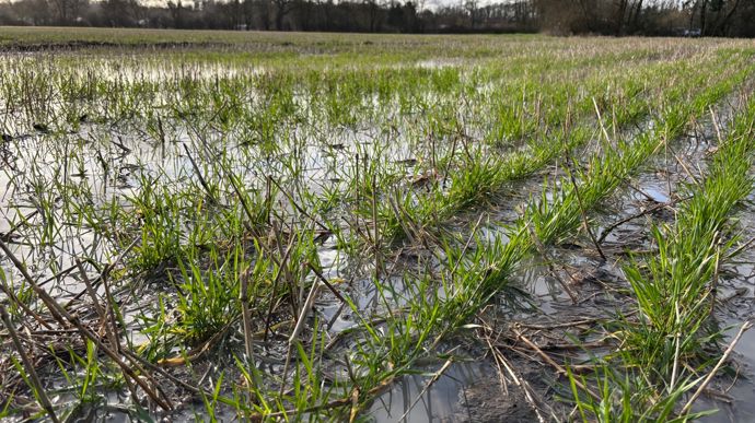 Dans certaines communes, les pertes de récoltes induites par les excès de pluie en 2025 pourront être indemnisées par la solidarité nationale.