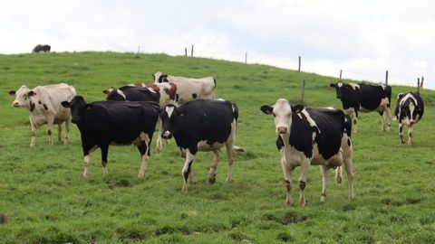 Le HCC relève « qu’en 2050, les émissions résiduelles de l’agriculture seront composées à 77 % de méthane ».