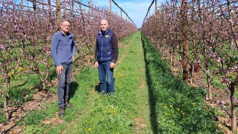 Jean-Phillipe Gazay, chef de culture, au domaine des Coteaux (à gauche), teste la technique en lien avec Christophe Mouirens, conseiller arboricole au GRCeta de Basse-Durance.