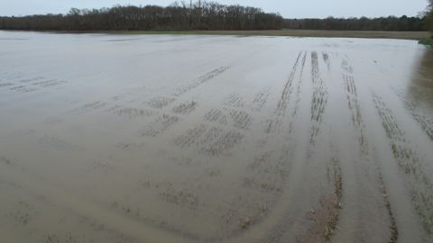 La Confédération paysanne fait état de cultures inondées et d'animaux noyés après les inondations et la tempête Nils.