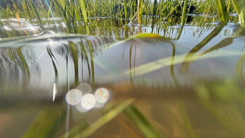 Plusieurs communes de l'Ouest et du Sud-Ouest touchées par les inondations le mois dernier sont désormais reconnues en état de catastrophe naturelle.