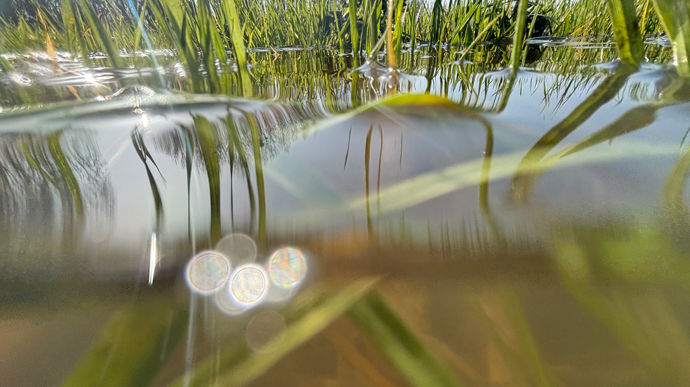 Plusieurs communes de l'Ouest et du Sud-Ouest touchées par les inondations le mois dernier sont désormais reconnues en état de catastrophe naturelle.