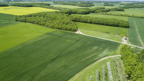 Un rapport sur l'opérateur public chargé de verser les aides aux filières agricoles pointe des coûts de gestion excessifs, des contrôles insuffisants et une accumulation de missions qui fragilise l'établissement.