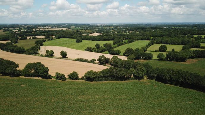 Après un décès, les terres agricoles appartiennent aux héritiers tant que le partage n’a pas été réalisé.