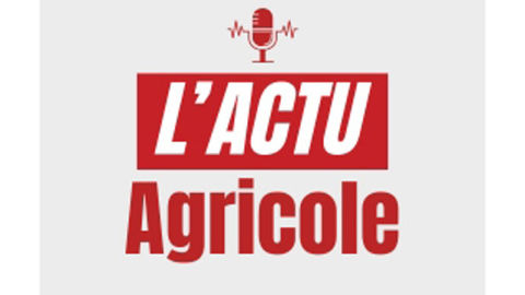 Le podcast du 19 mars 2026