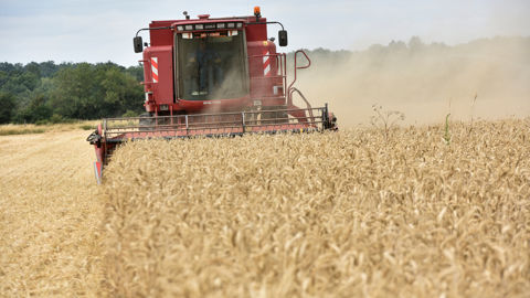 Le Conseil international des céréales dresse en mars 2026 une première estimation de la production mondiale de céréales (hors riz) à 2 417 millions de tonnes sur la campagne 2026-2027.