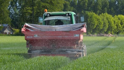 30 % des engrais mondiaux transitent habituellement par le détroit d'Ormuz.