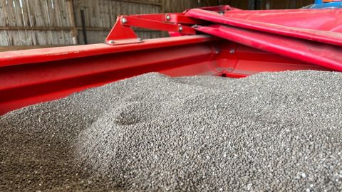 Le phosphore est un élément essentiel à la croissance de tout être vivant.