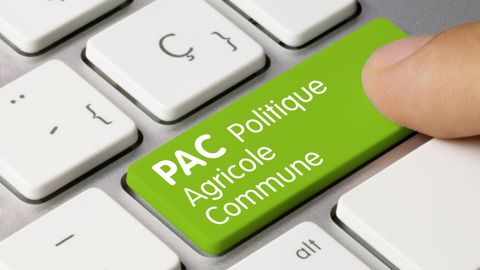 La France verse relativement rapidement les aides Pac aux agriculteurs.