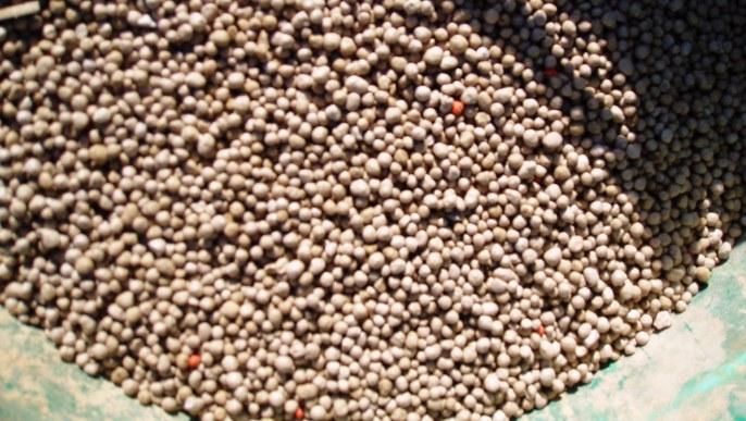La consommation d'engrais attendue à la hausse dans les prochaines semaines fertiliser les parcelles de maïs et de tournesol.