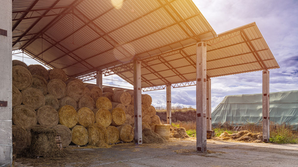 Bâtiment agricole : comment choisir une structure adaptée à son exploitation ?
