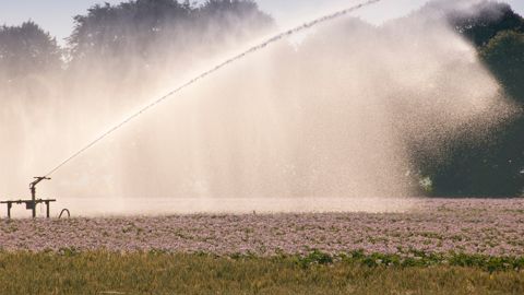 Avec la canicule, les conflits liés à l'usage de l'eau font partie des points d'attention mis en avant par le ministère de l'agriculture.
