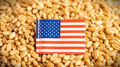 L'USDA estime pour le moment à 42 Mt la production US de blé, un chiffre qui pourrait encore être révisé à la baisse ces prochaines semaines.