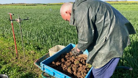 Le programme Sara va être mené sur trois campagnes agricoles et sur deux sites expérimentaux.