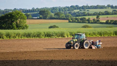 L'augmentation de la productivité de l'agriculture française ne s'est pas accompagnée d'une augmentation de la rentabilité.