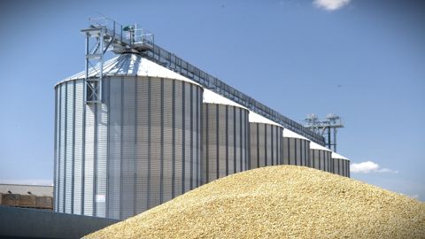 D'après les premiers chiffres présentés par FranceAgriMer, les stocks de début de campagne devraient limiter la chute des disponibilités en orge et en blé tendre français sur 2026/27.