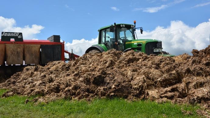 Fumier compost