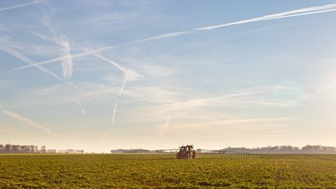 Chaque semaine, Nicolas Pinchon livre une analyse sur les prix des marchés pour Terre-net.