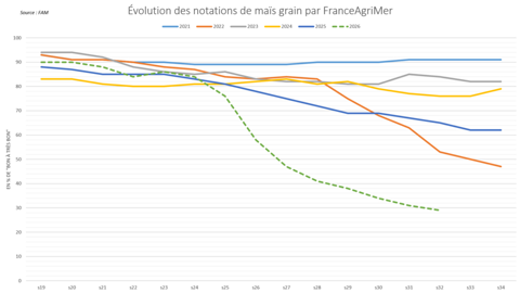 Les notations de maïs grain "bon à très bon" sont encore en chute libre.