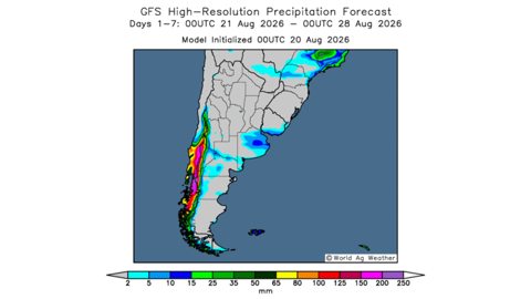L'arrêt des pluies en Argentine devrait profiter aux cultures de blé.