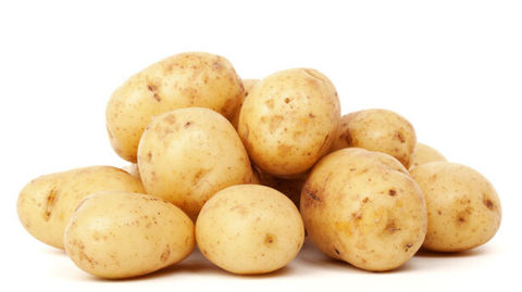 Après une année de surproduction, la France va t-elle manquer de pommes de terre en 2026 ?