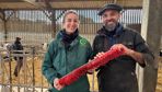 Sophie Latapie, vétérinaire, et Pierre-Antoine Raimbourg, éleveur allaitant bio 