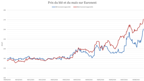 Le maïs a grimpé significativement plus rapidement que le blé sur Euronext.