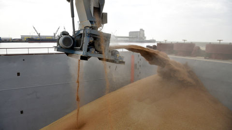 600 000 tonnes de blé tendre français ont été programmées à la fin d