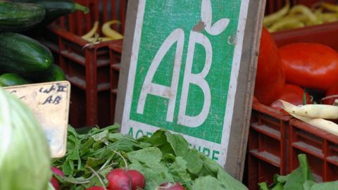 Il est encore trop tôt pour dire que la production de bio augmente à nouveau en France.