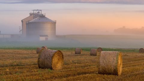 L'effet amortisseur des coopératives céréalières "trouve ses limites face à la répétition de crises agricoles", prévient LCA métiers du grain.