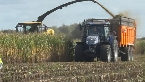 L'ensileuse ajuste automatiquement et constamment le réglage de son éclateur en vue de maintenir la qualité d'éclatement demandée par l'agriculteur.