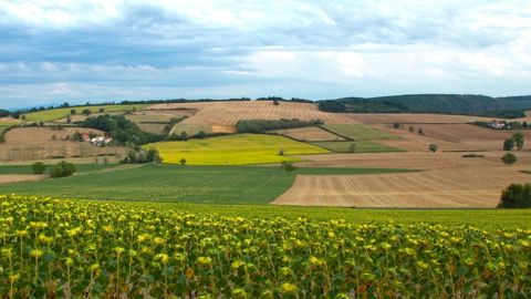 Le budget du ministère de l'agriculture pour 2027 est relativement préservé, avec près de quatre milliards d'euros en excluant l'enseignement agricole.