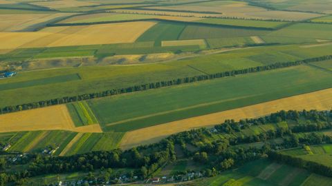 Conclure un bail rural sur des terres en indivision nécessite l'accord de tous les indivisaires.