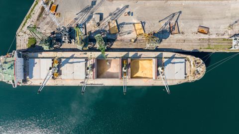 Les frappes en mer Noire ralentissent fortement les exportations de blé de la Russie et de l'Ukraine, ce qui génère une demande accrue pour le blé français, roumain, bulgare, balte et allemand.
