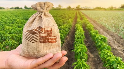 Les budgets ont aussi été augmentés notamment pour la transmission des fermes, les coopératives d'équipements, le conseil agronomique.