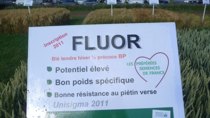 Les variétés préférées de Semences de France.