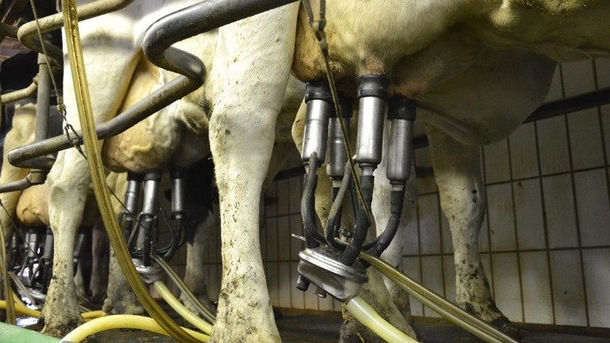 Traite- prix du lait