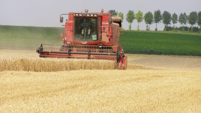 Moisson de blé