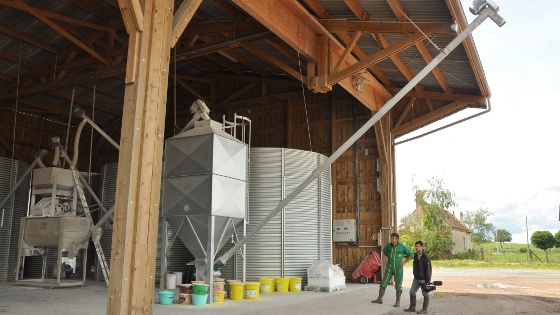 Faf fabrication d'aliment à la ferme bovin